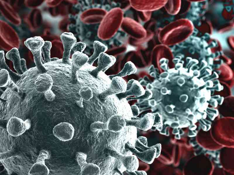 Immagine articolo: Corona virus. Ecco i reati e le pene per chi viole le disposizioni per l'emergenza