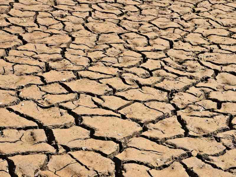 Immagine articolo: Siccità e ondate di calore, il Comune di Menfi chiede il riconoscimento dello stato di calamità per il comparto agricolo