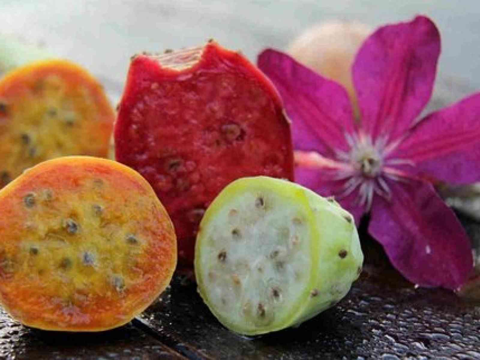 Immagine articolo: I fichi d'india tra proprietà e benefici. Ecco perchè fa bene mangiare “li ficurini scuzzulati“ detti anche “bastarduna“