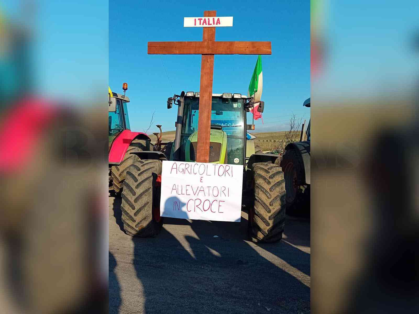 Immagine articolo: Crisi agricola. Clemente: “vogliamo risposte concrete“. La Rocca Ruvolo: “Comparto è in ginocchio“